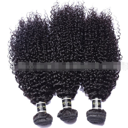 Live Export Wig Malaysia Hair Extension