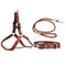 Pet Collars, Harnesses & Accessories
