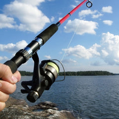 Collection image for: Fishing