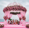 Weddings & Events