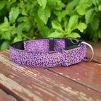 XL / Purple