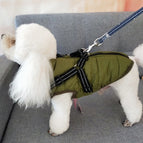 Army Green / 4XL