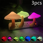 Mushroom / US / Colorful 3pcs