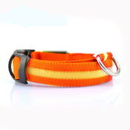 Orange / M