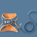 Orange blue / S