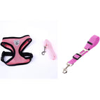 Pink 2 / L