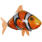 Clown fish