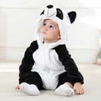 Panda / 6 to 12