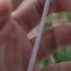 Straw