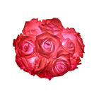 Red / Battery / 2m