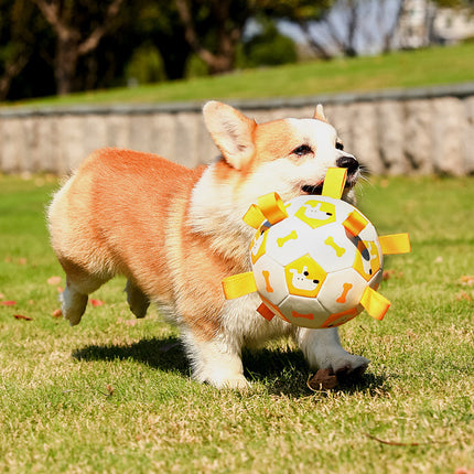 Pet Interactive Football Dog Outdoor Toy Molar Long Lasting