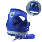 BlueA / XL
