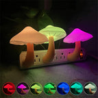 Mushroom / US / Colorful