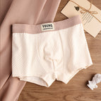 Apricot White / L