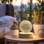 Basketball / Light wood