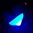 Mushroom / US / Blue