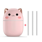 Pink / USB