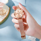 Mesh Belt Rose Shell Pink